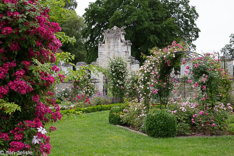 JARDINS DE CHAALIS